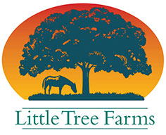 Little Tree Horse Retirement Logo